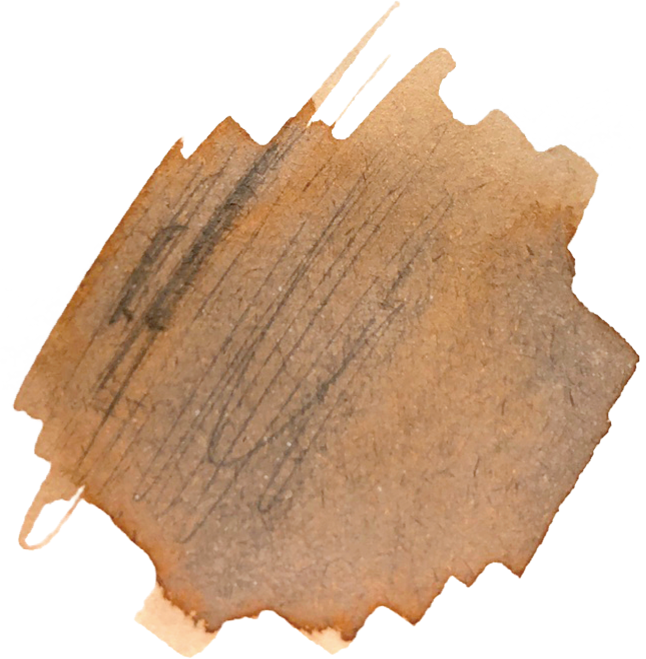 Sand Beige (Hunters Ink)