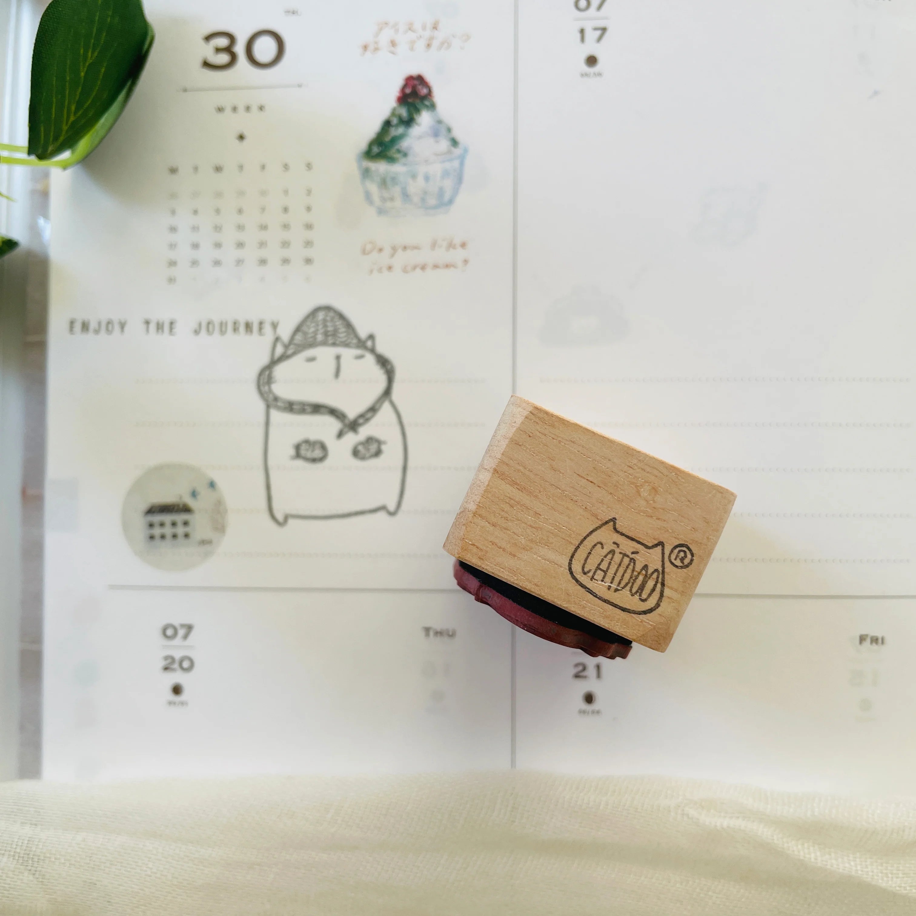 Knit Hat and Mitten Cat