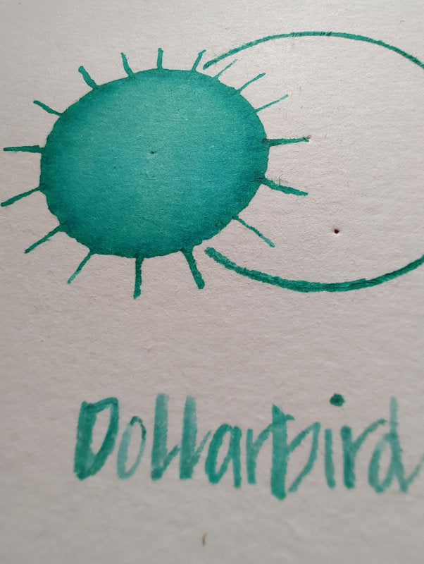 Dollarbird