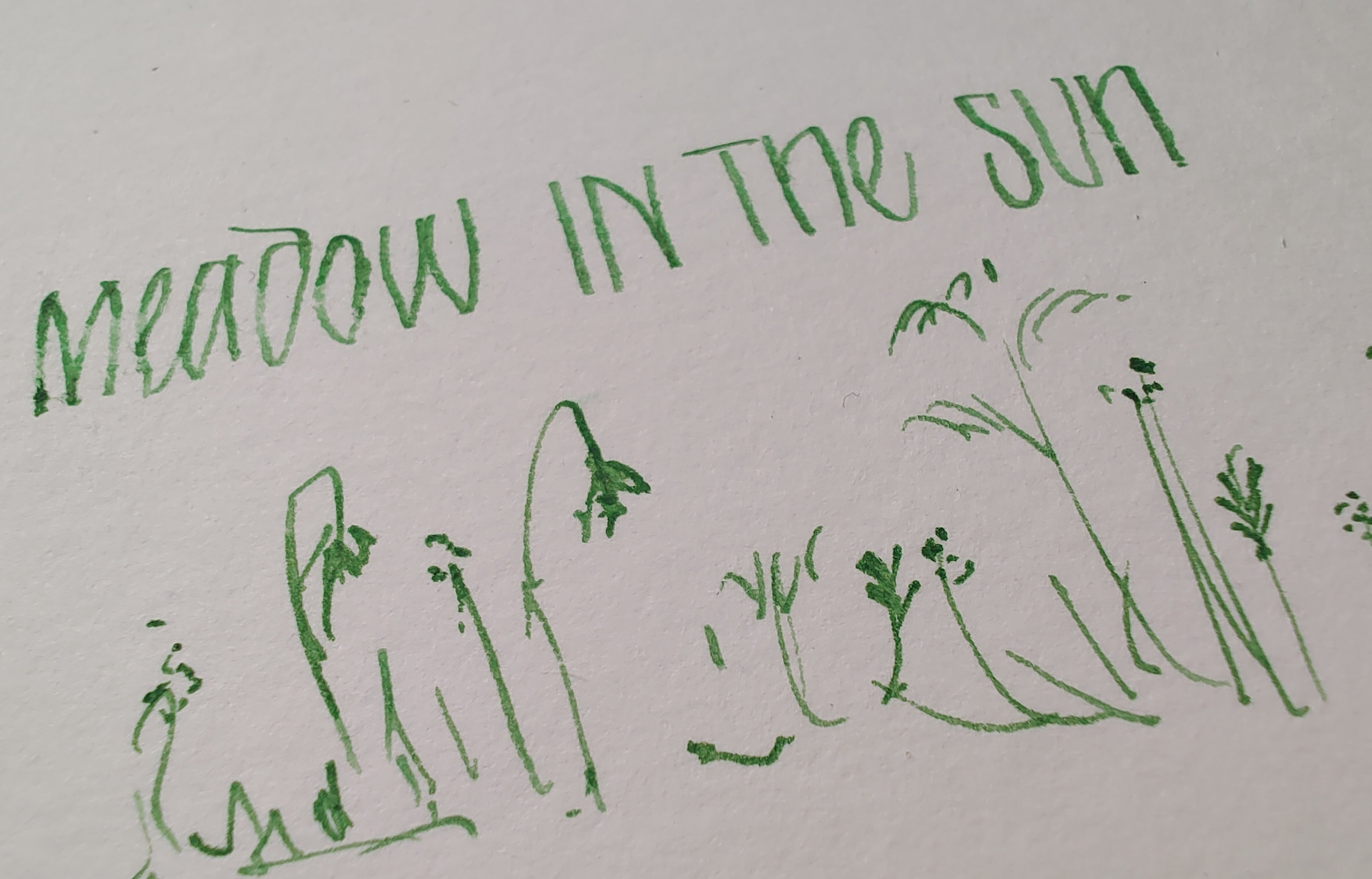 Meadow in the Sun