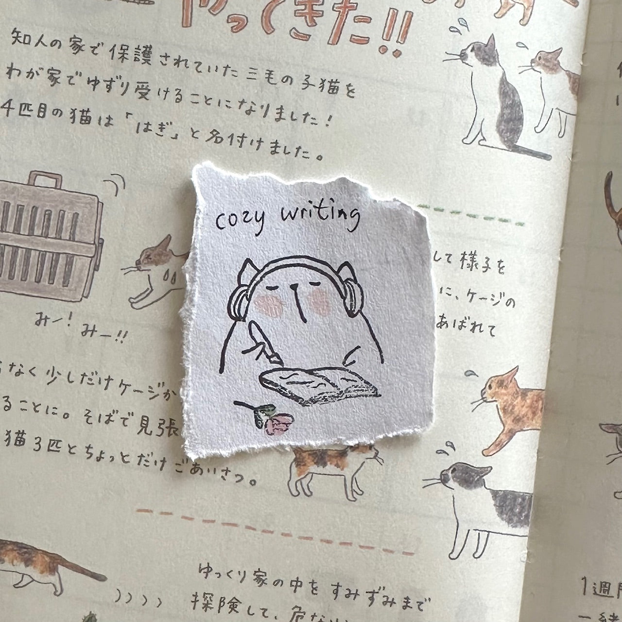 Cozy Writing (My Spring Days)