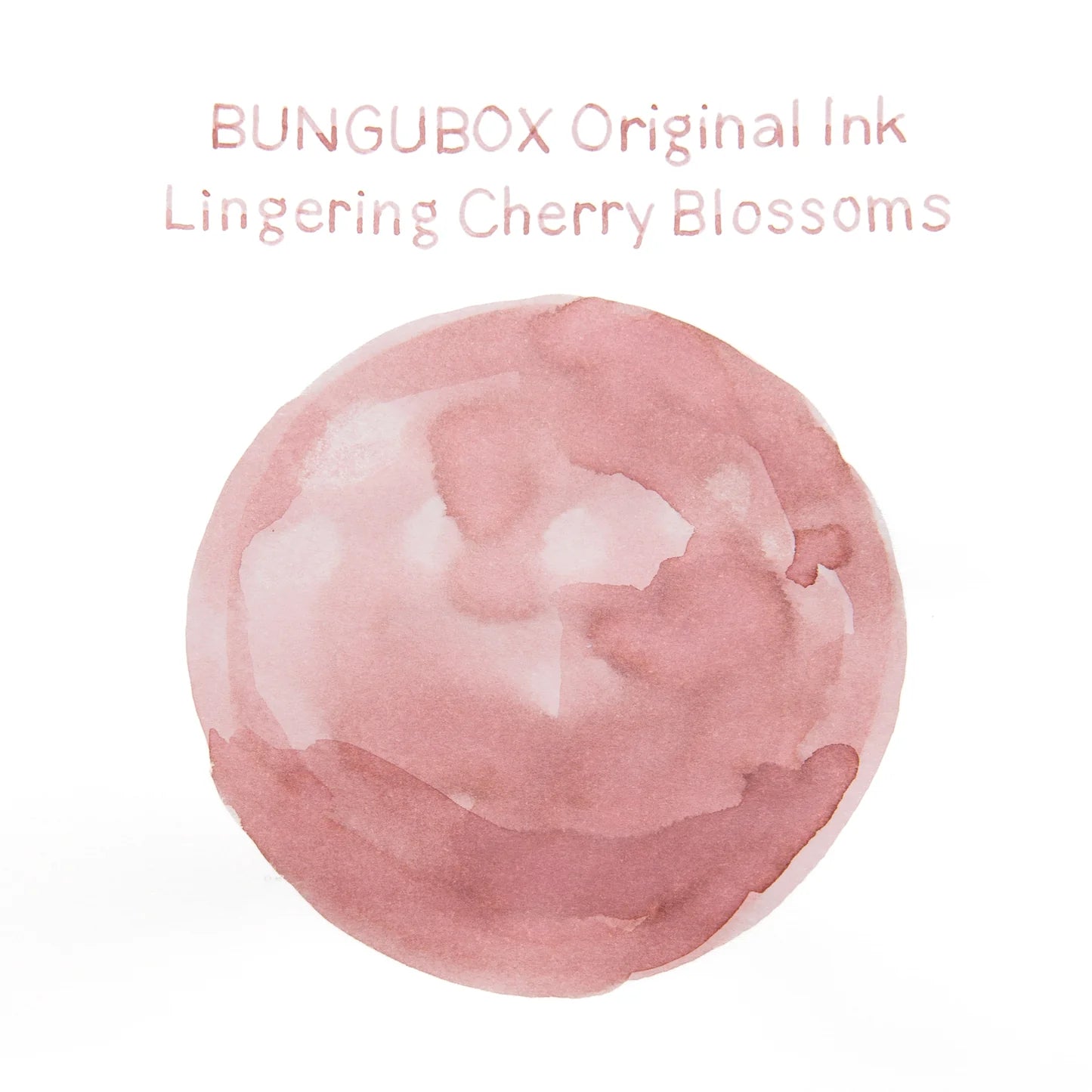 Lingering Cherry Blossoms