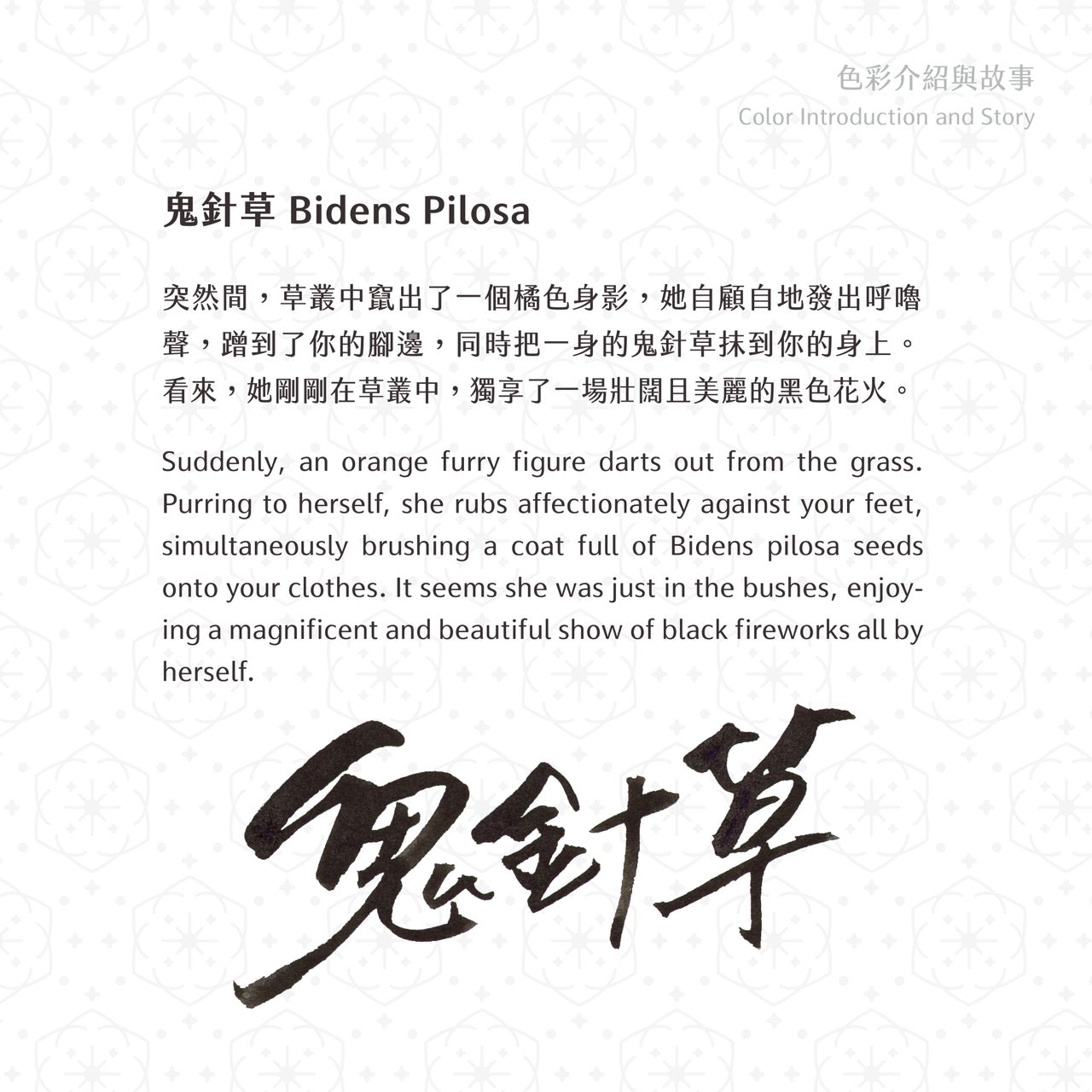 2026 Spring Limited Ink- Bidens Pilosa
