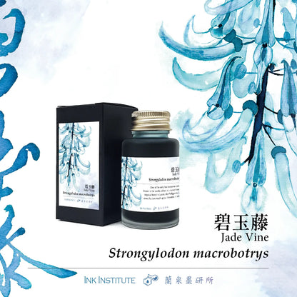 Meander - Jade Vine 碧玉藤