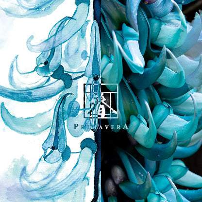 Meander - Jade Vine 碧玉藤