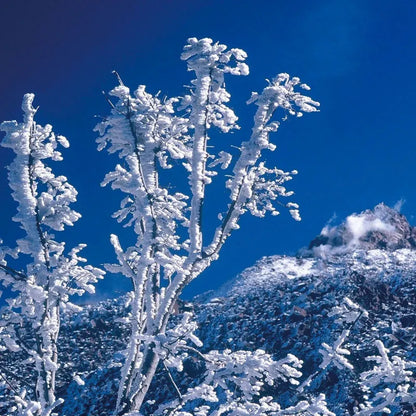 Nagasaki Beautiful Scenery 9th Unzen Frosty White