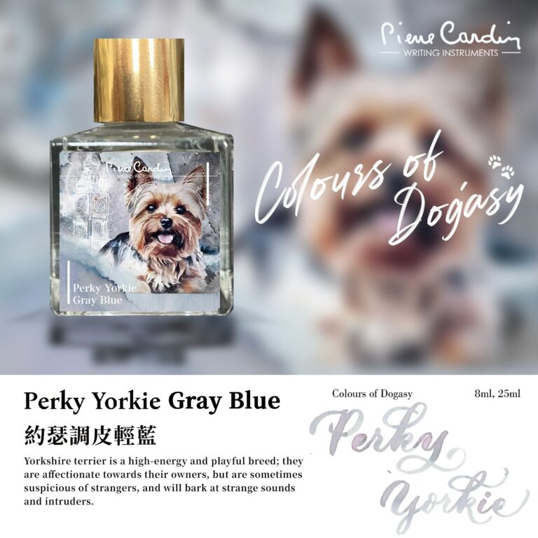 Perky Yorkie Gray Blue