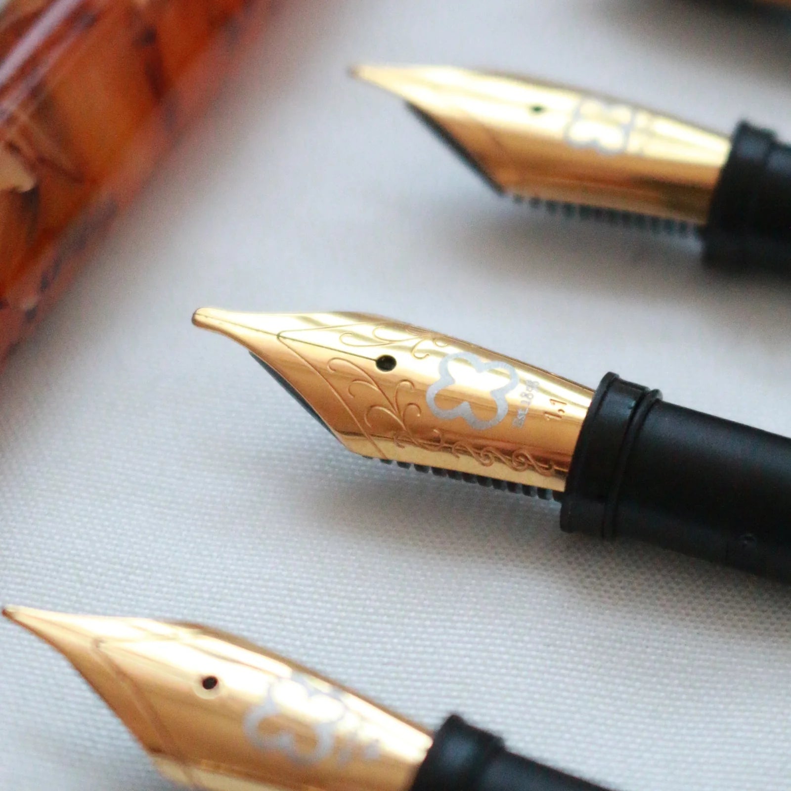 Fountain Pen Nibs