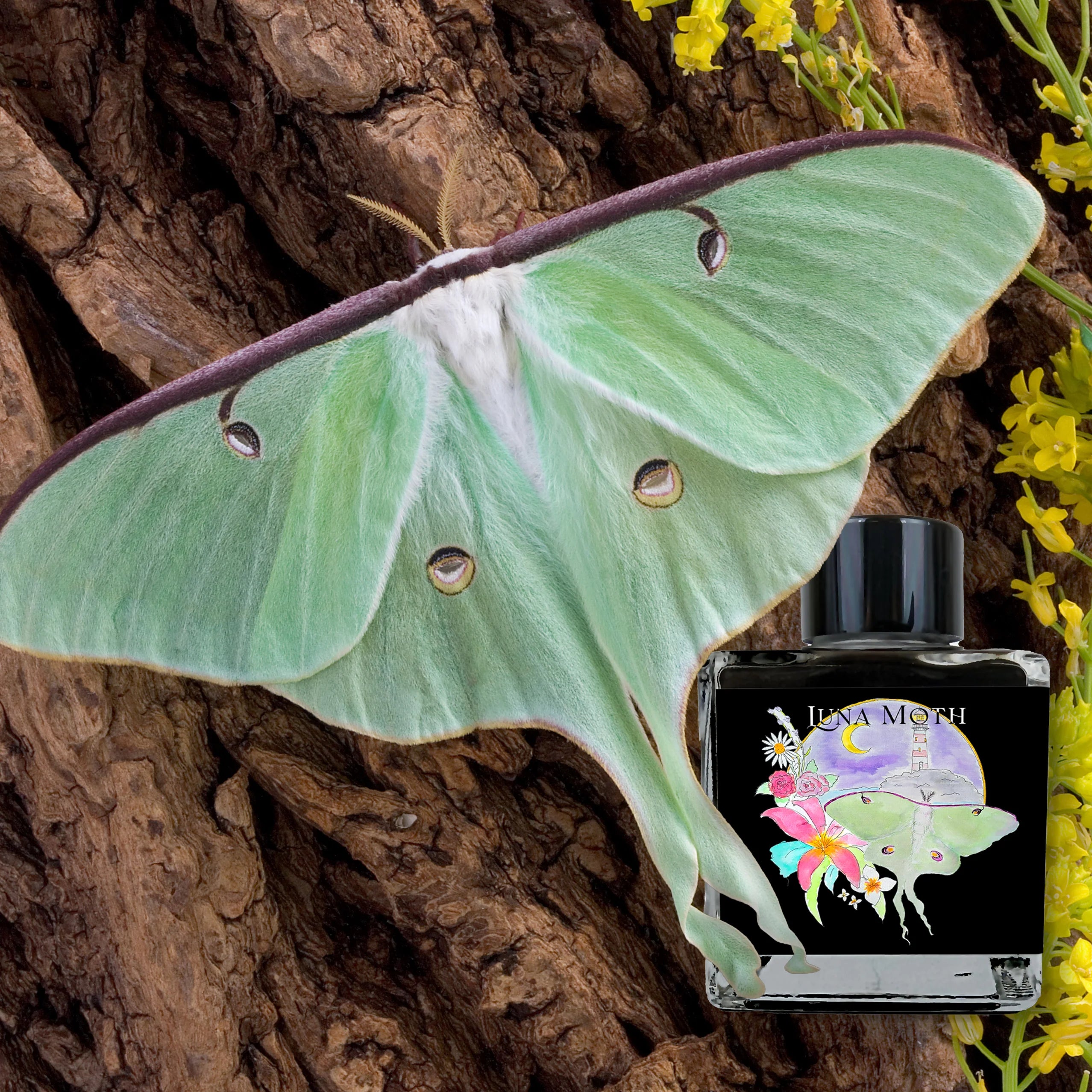 Van Dieman's Inks 2025 March: Luna Moth