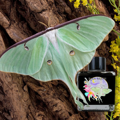 Van Dieman's Inks 2025 March: Luna Moth