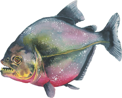 Piranha Red