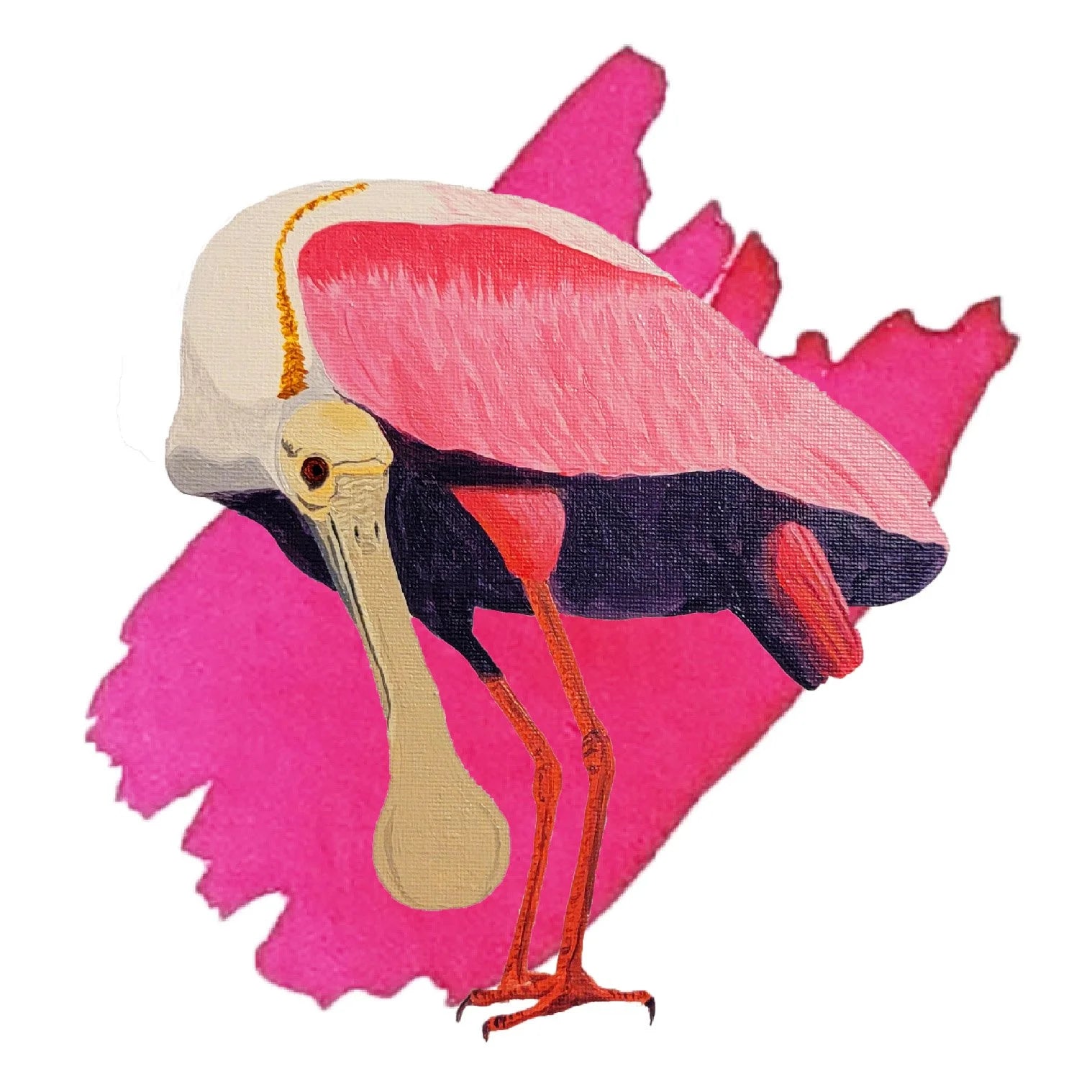 Roseate Spoonbill Pink