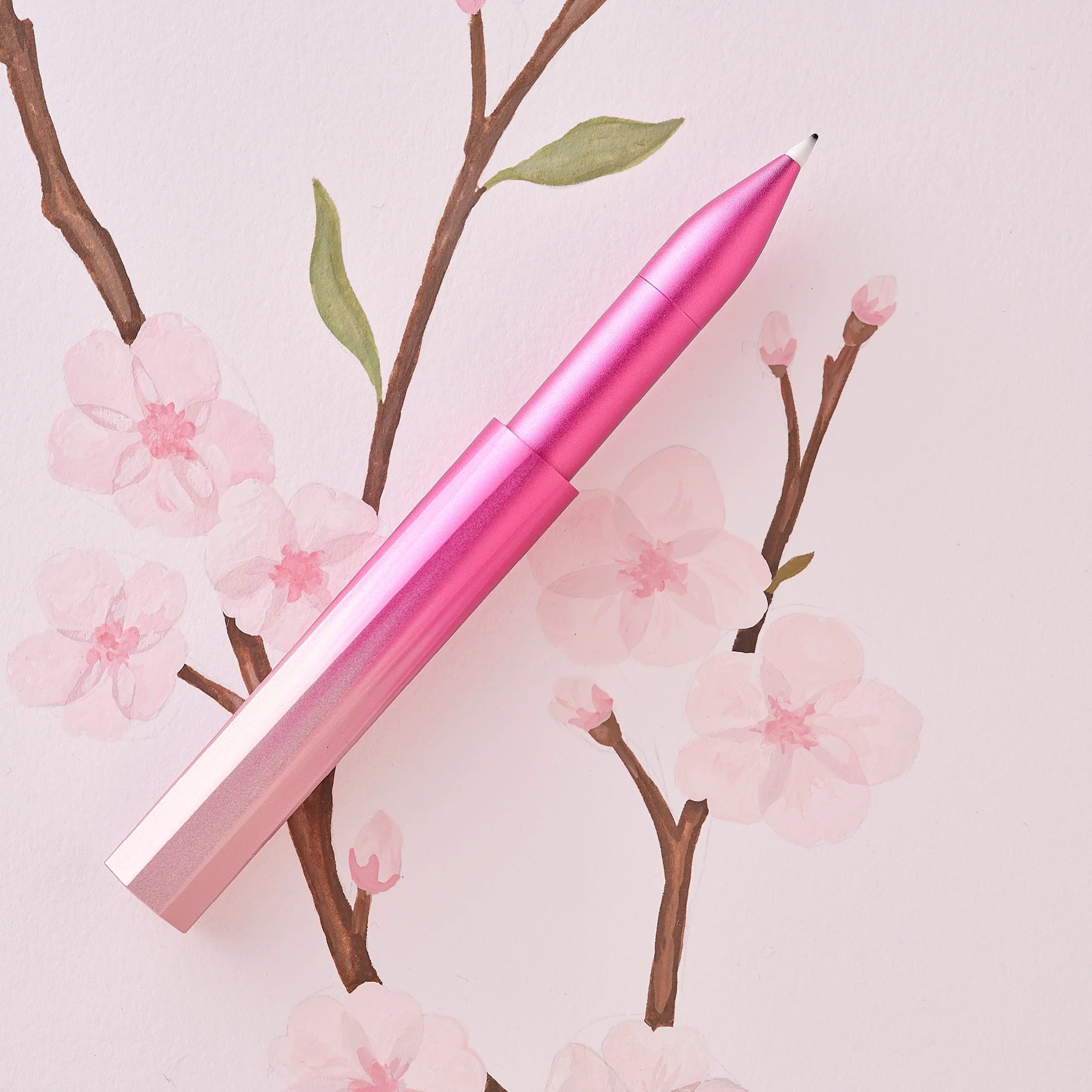 Sakura Wren