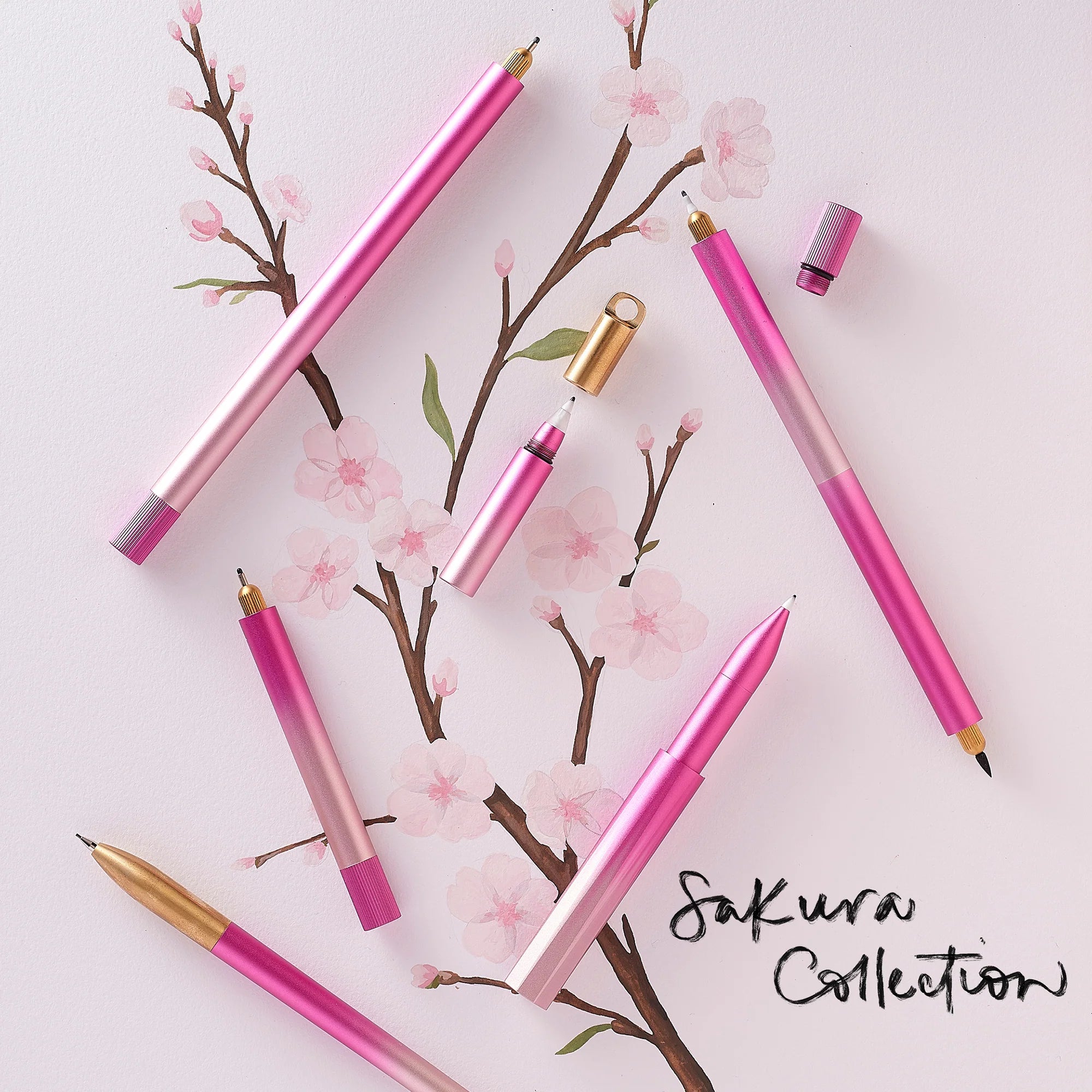 Sakura Lumos - Special Edition
