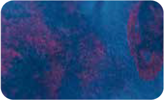 Top 3 Colorvent 2024- Pulsar Pulse