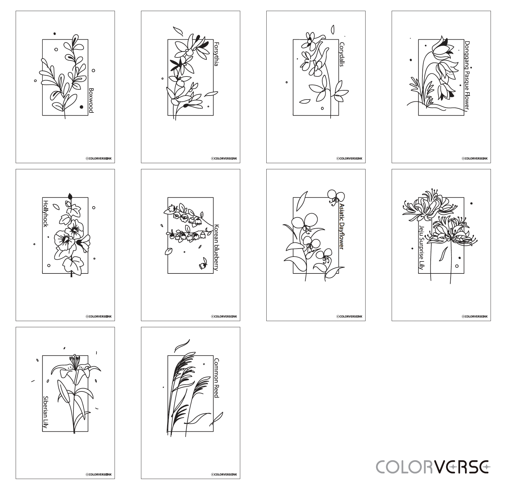 Ink Art Card Colorspace- Wildflower