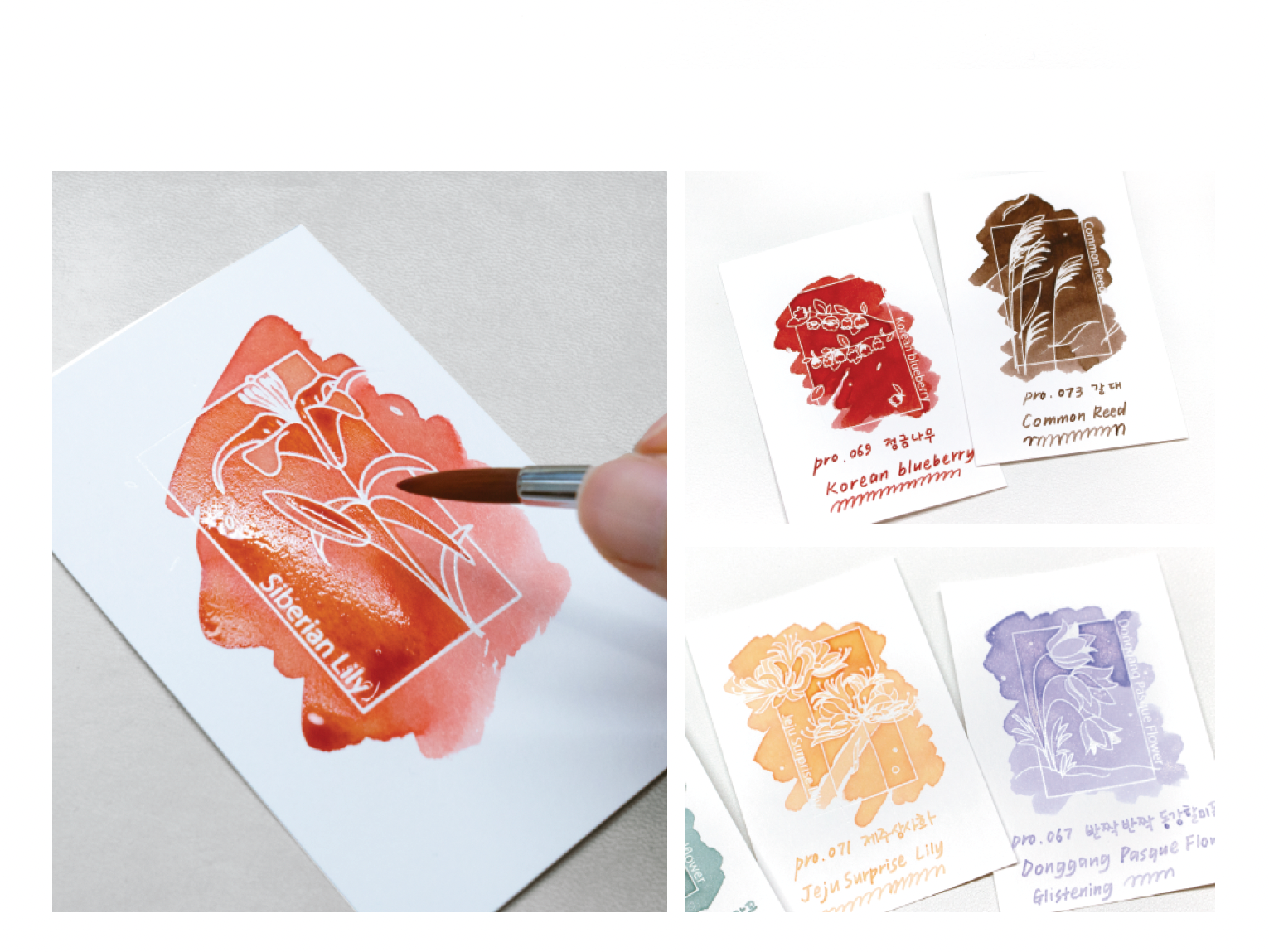 Ink Art Card Colorspace- Wildflower