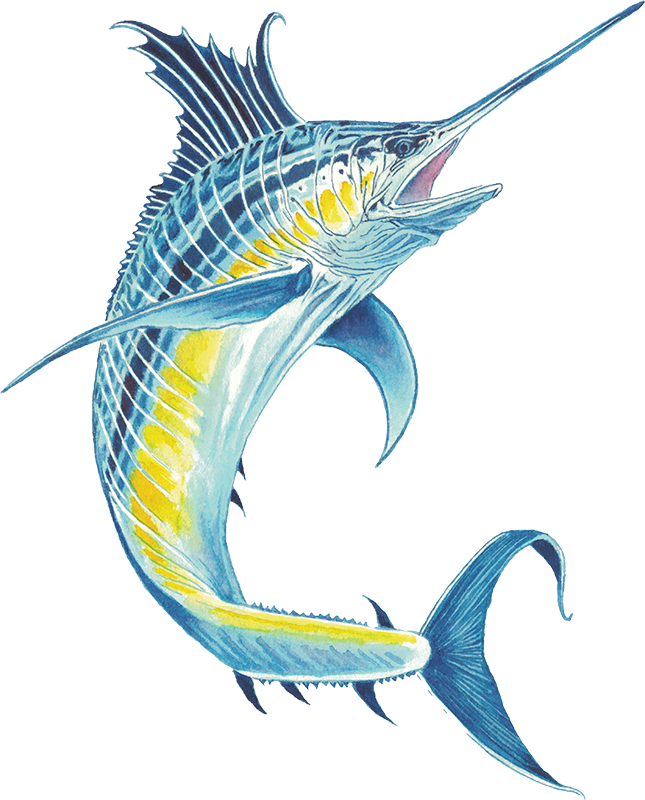 Swordfish Blue