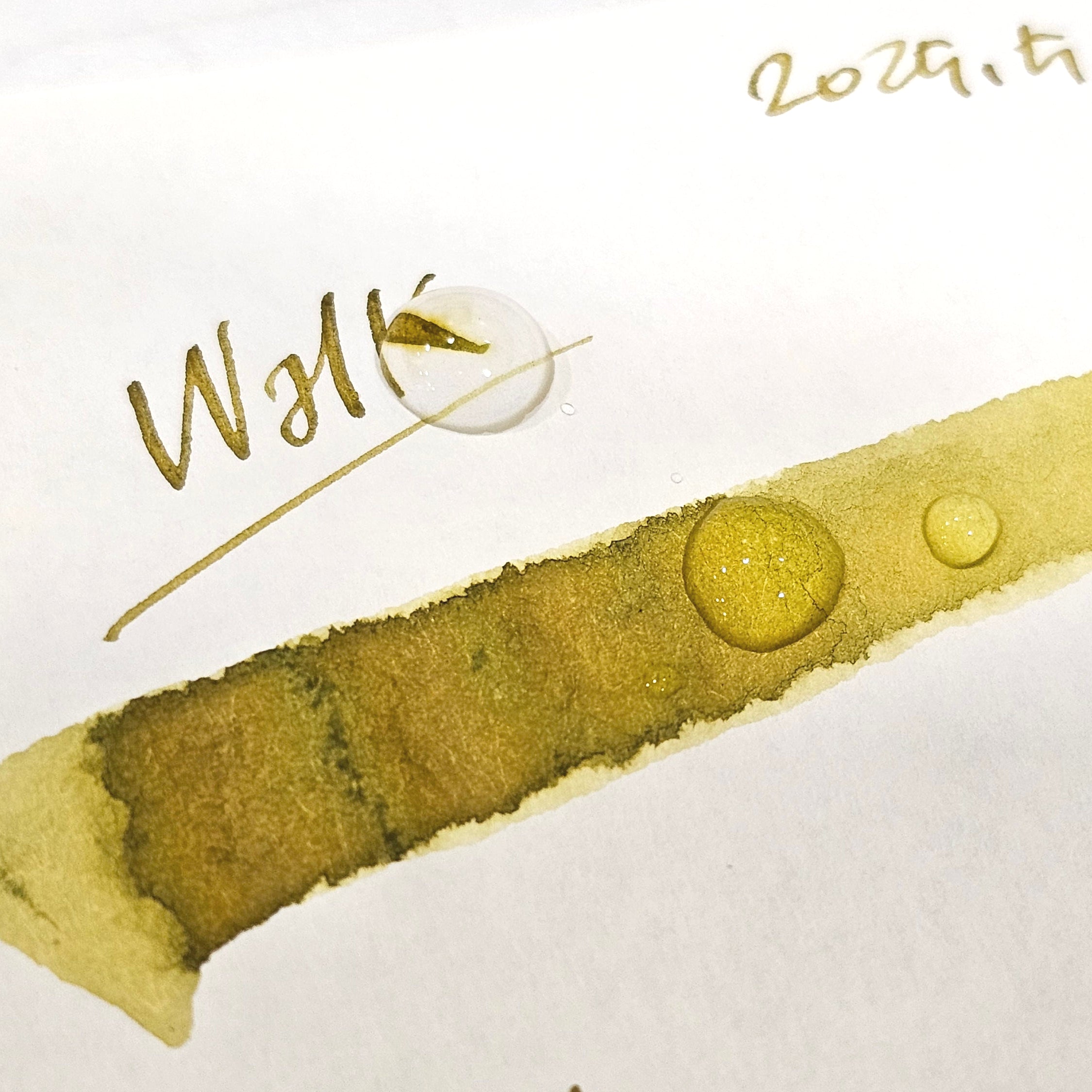 Walk (Monthly Ink Series May 2025)