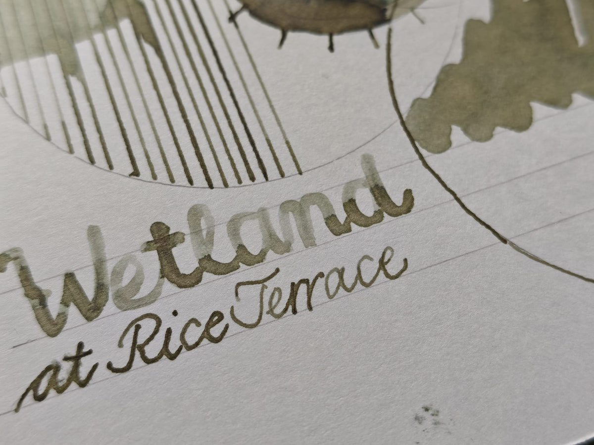 Wetland at Rice Terrace