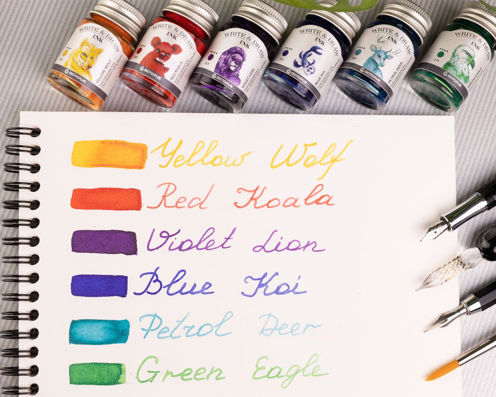 Write and Draw Ink Set (Rainbow)