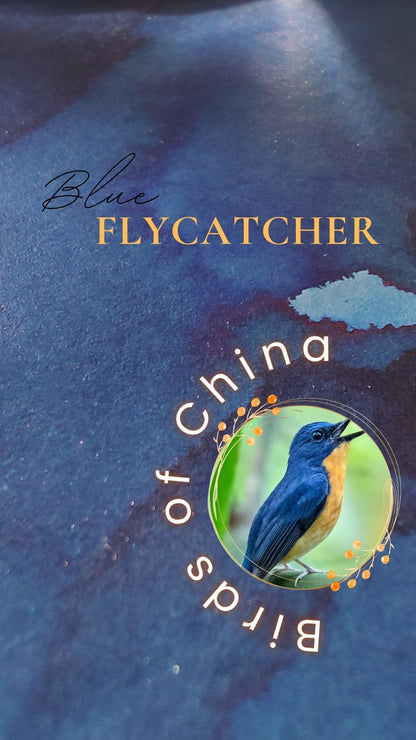 Blue Flycatcher