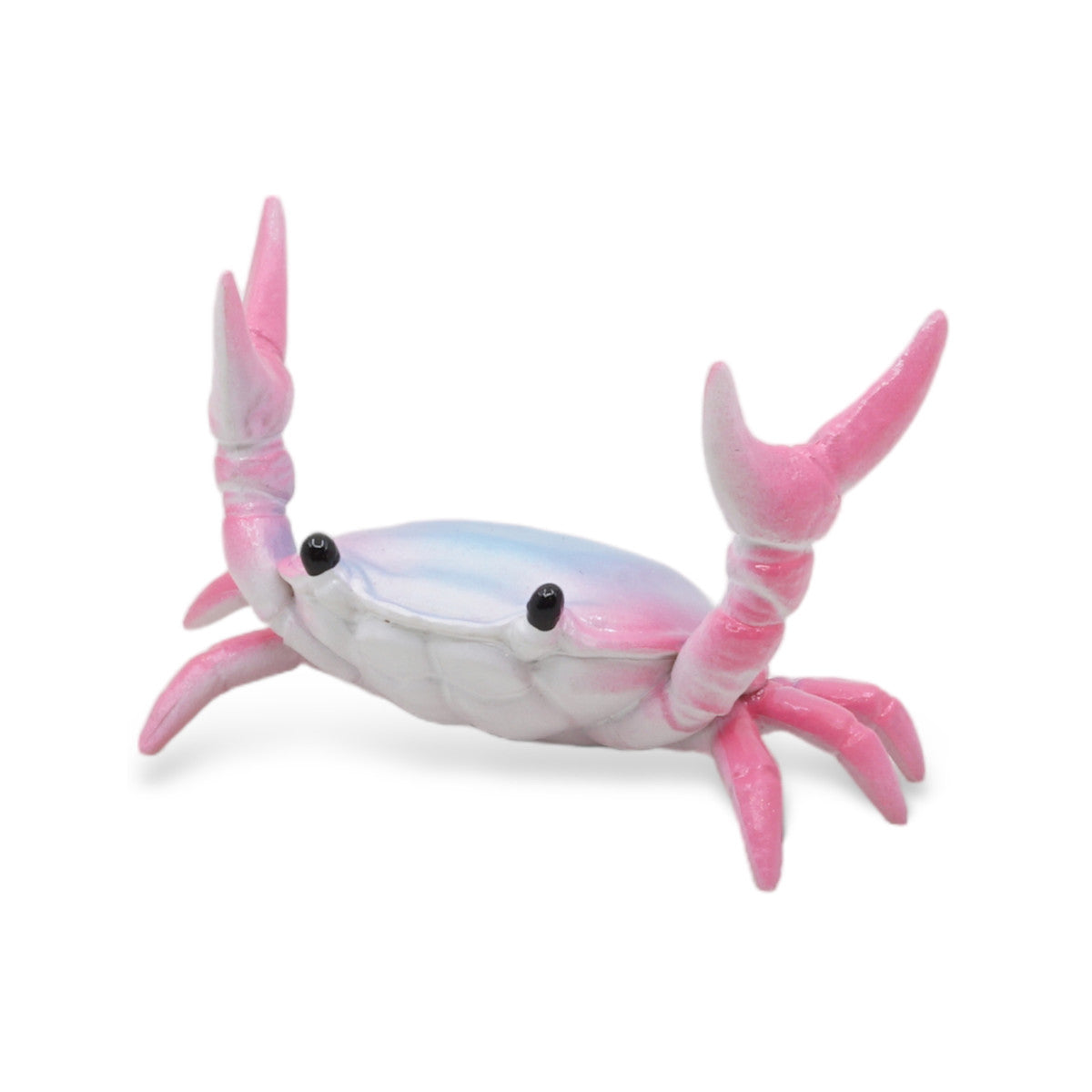 Blue Pink Crab Pen Holder