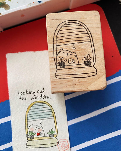 Looking Out the Window