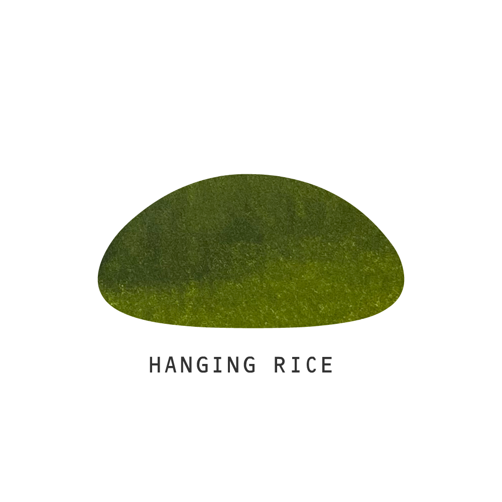 Hanging Rice