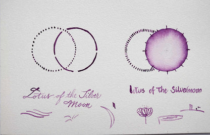 Lotus of the Silvermoon