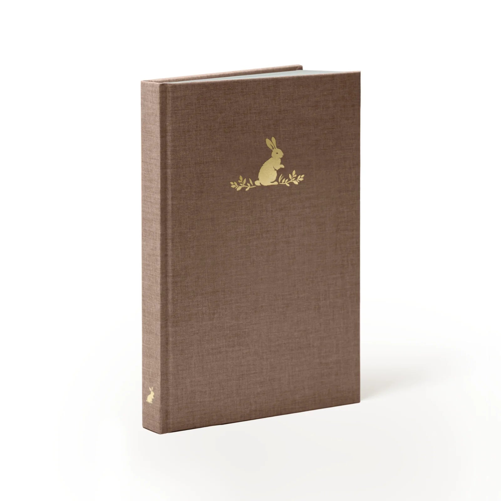 Curious Rabbit Dotted Notebook (70gsm, Hardcover)
