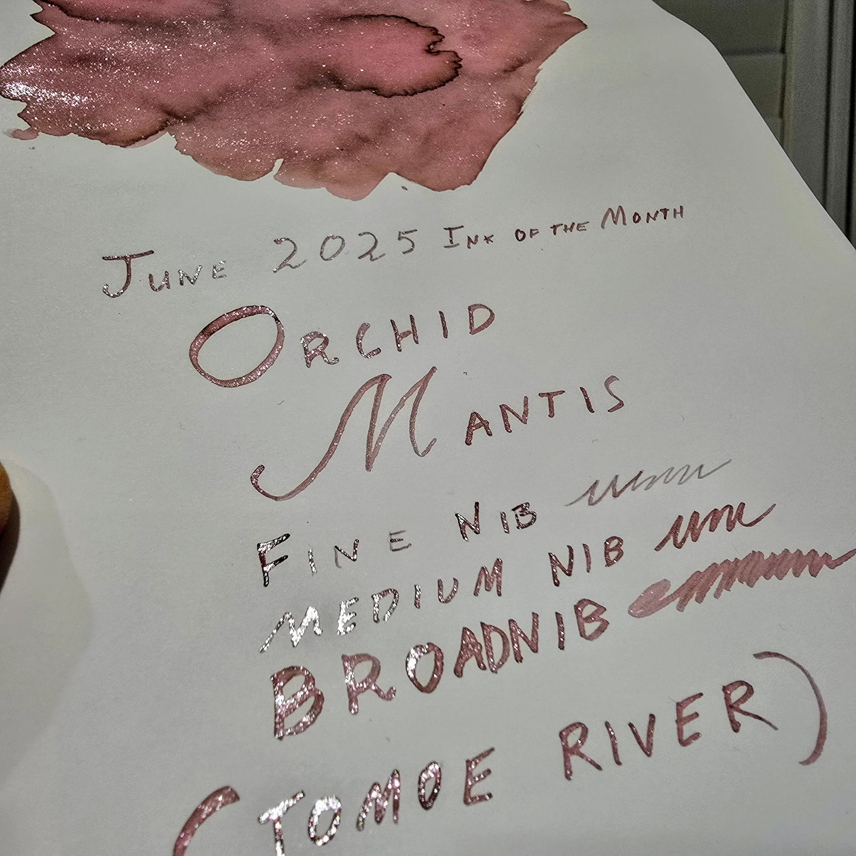 Van Dieman's Inks 2025 June - Orchid Mantis