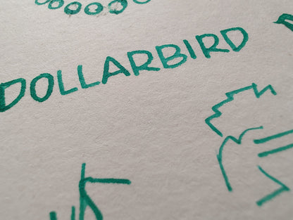 Dollarbird
