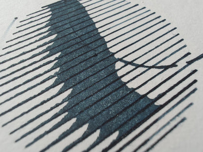 Stars above Shenzhen