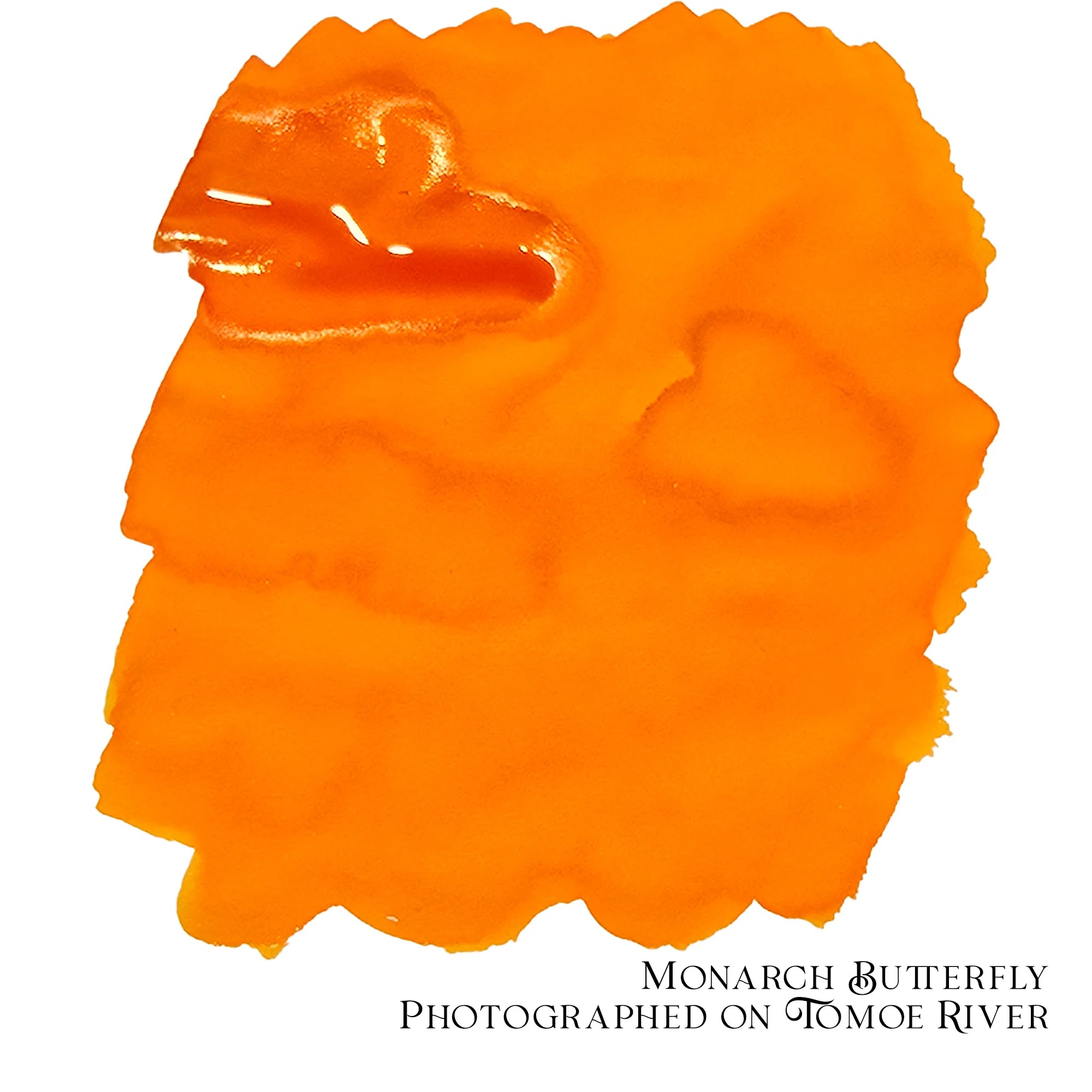 Van Dieman's Inks 2025 August - Monarch Butterfly